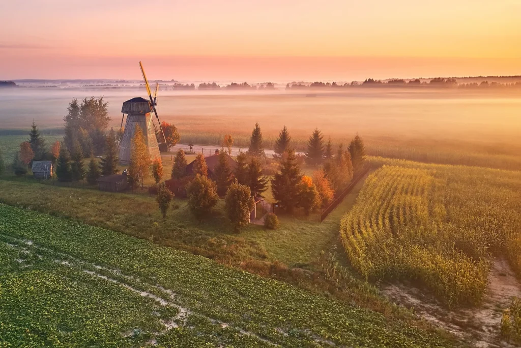 dudutki-8-1536×1024