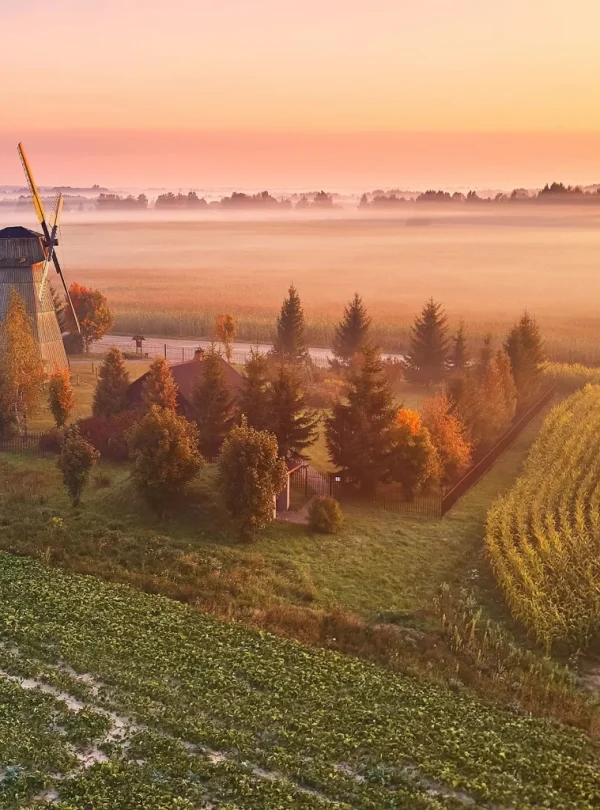 dudutki-8-1536×1024