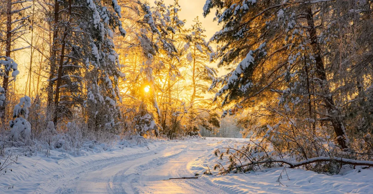 Winter Belarus — Real Lifeарусь – настоящая жизнь Clone